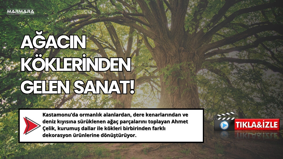 Ağacın Köklerinden Gelen Sanat!