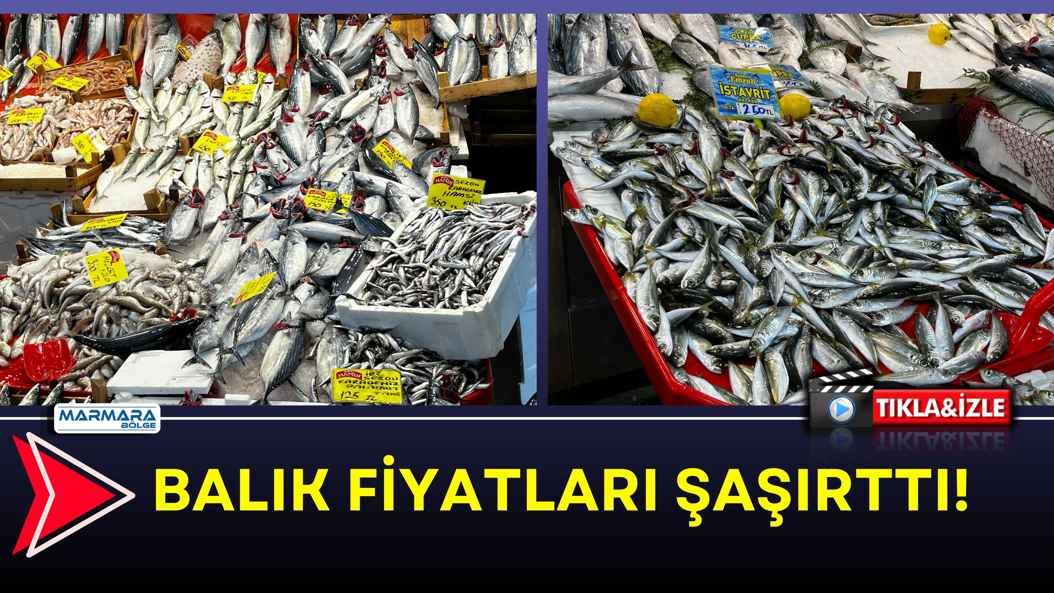 Balık Fiyatları Şaşırttı!