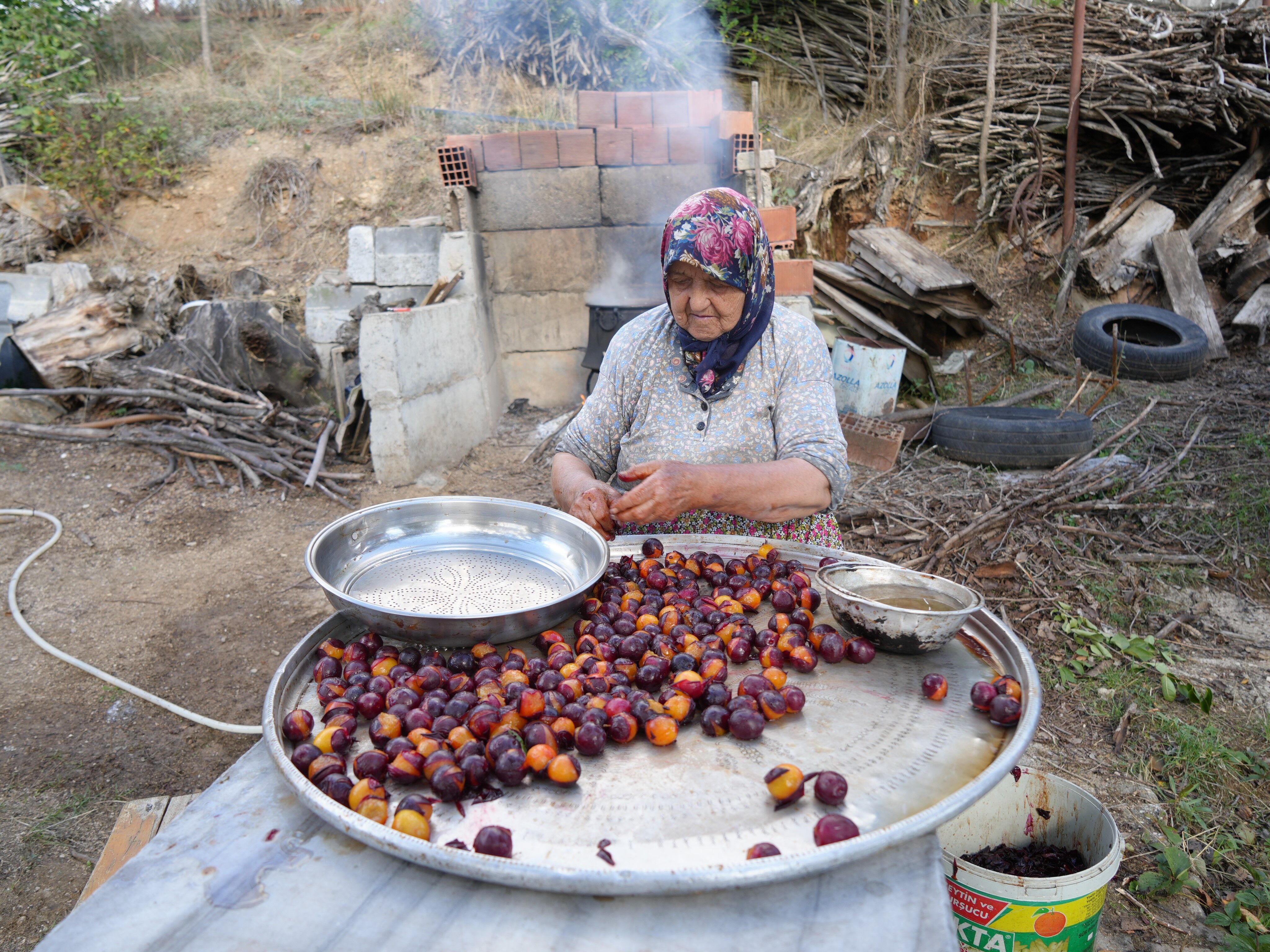 Kansere Karşı Etkisiyle Gündem Olan Osmanlı Mutfağının Vazgeçilmez Meyvesi! (6)