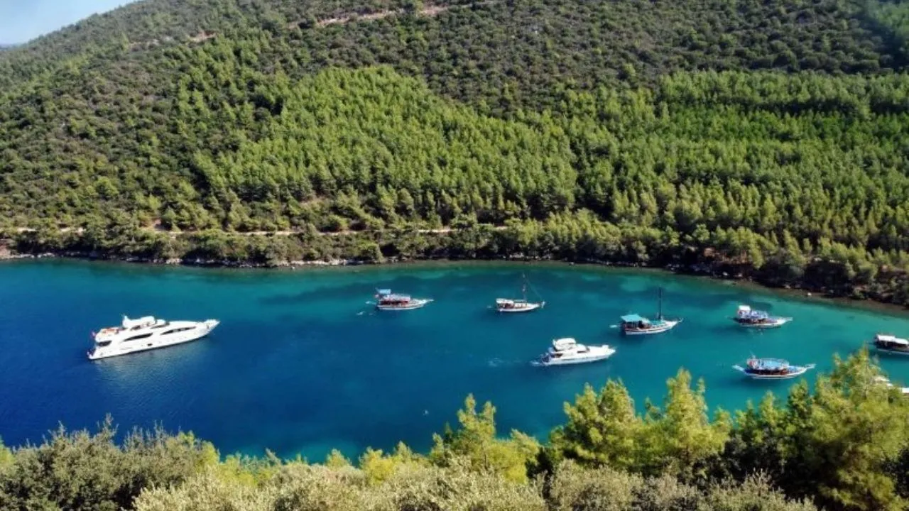 Mazi Koyu Bodrum-1