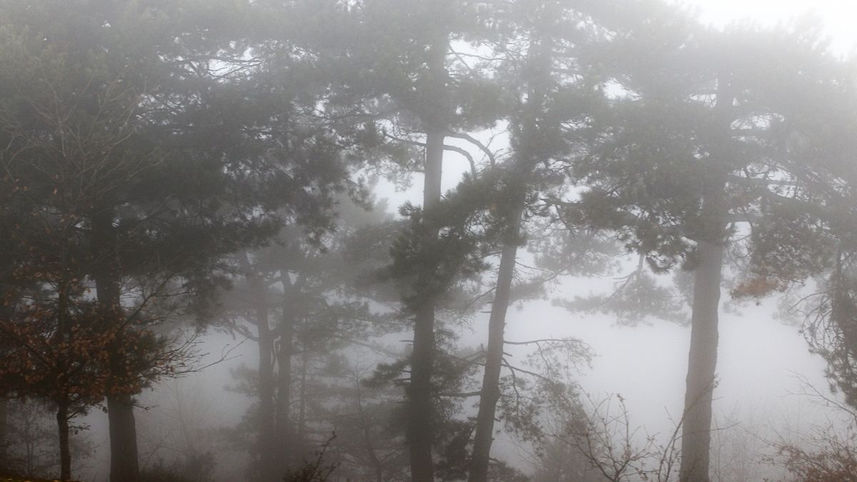 Meteoroloji-2