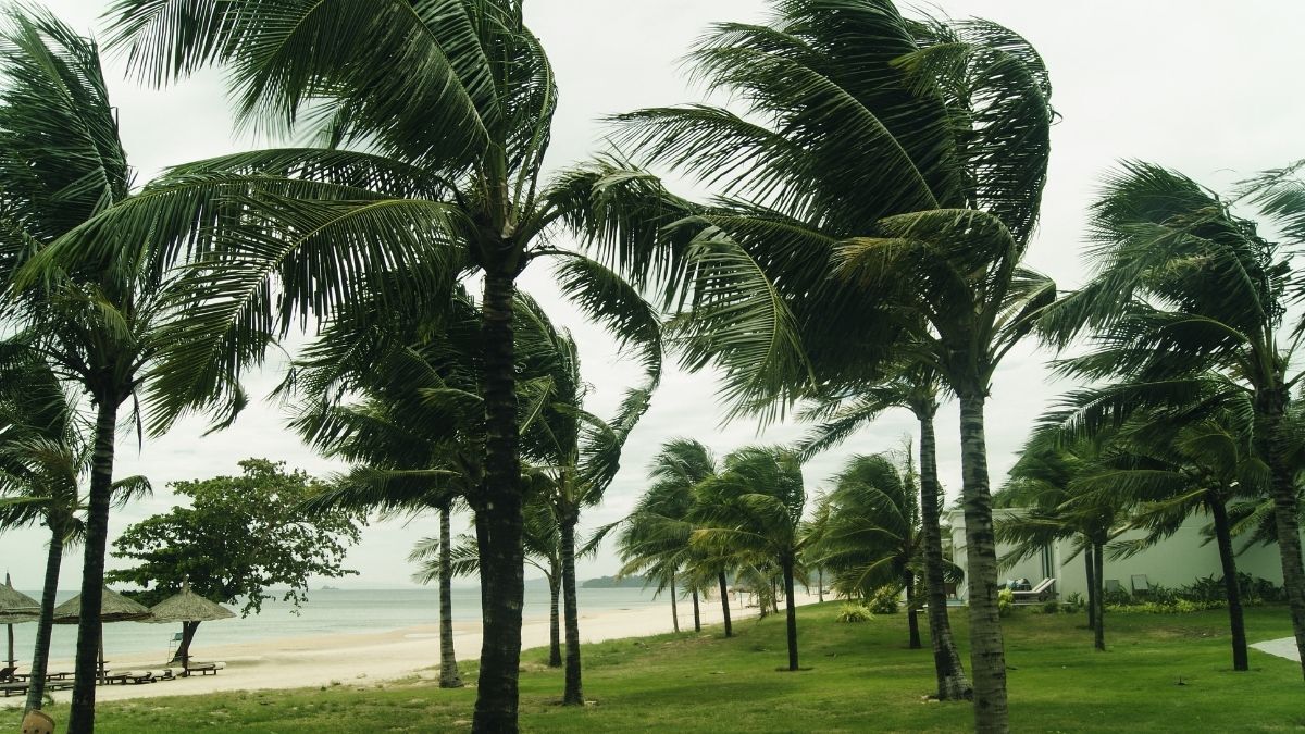 Meteorolojii-2