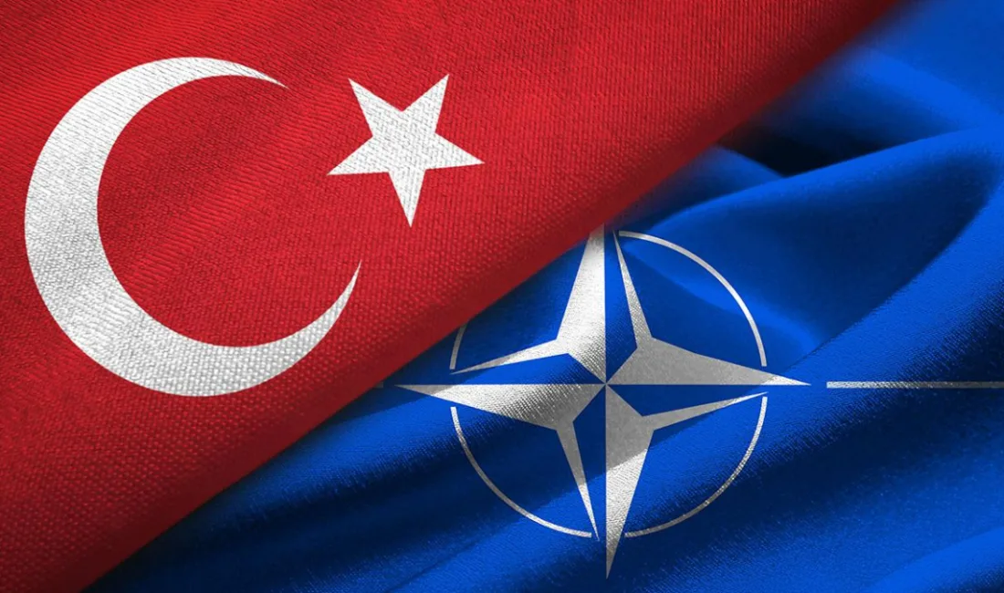 Nato 11