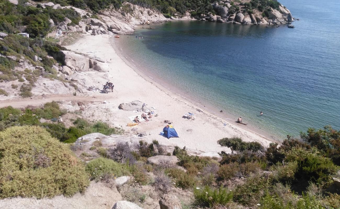 Turanköy 4