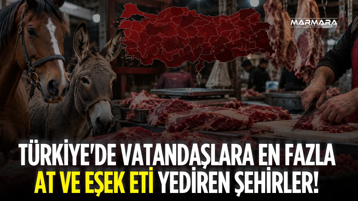 Türkiye'de Vatandaşlara En Fazla At ve Eşek Eti Yediren Şehirler! Bakanlığın Listesi Şoke Etti