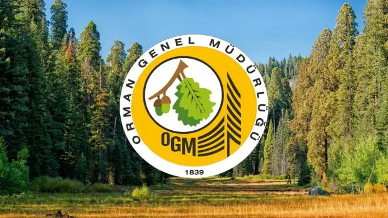 Orman Genel Müdürlüğü 41 Personel Alacak! KPSS Şartı Yok!